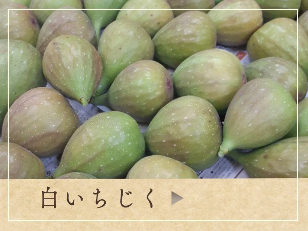 ひたちなかおいしいケーキ