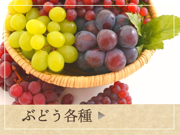 ひたちなかおいしいケーキ